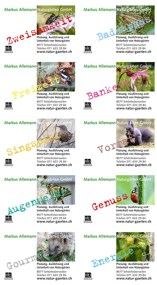 allemann inserate 2017